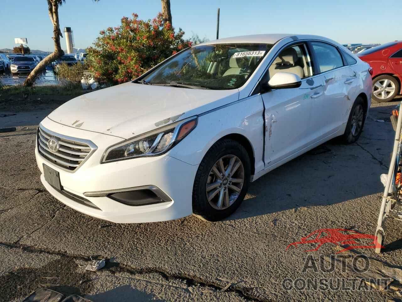 HYUNDAI SONATA 2016 - 5NPE24AFXGH339162