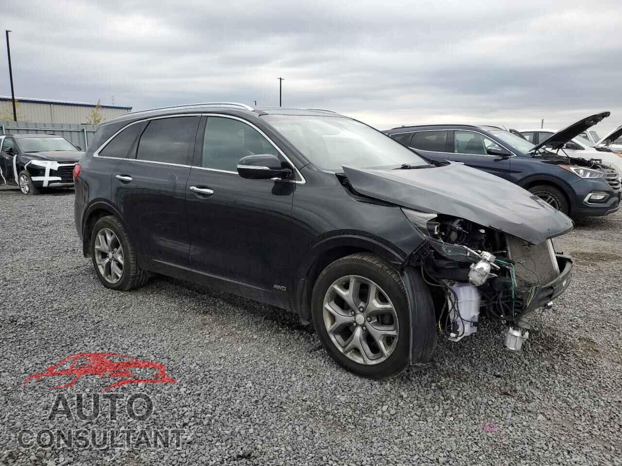 KIA SORENTO 2016 - 5XYPKDA52GG171203