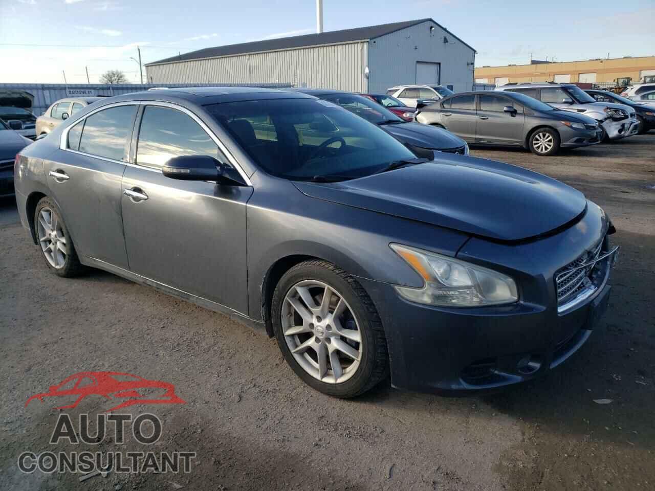 NISSAN MAXIMA 2009 - 1N4AA51EX9C835159