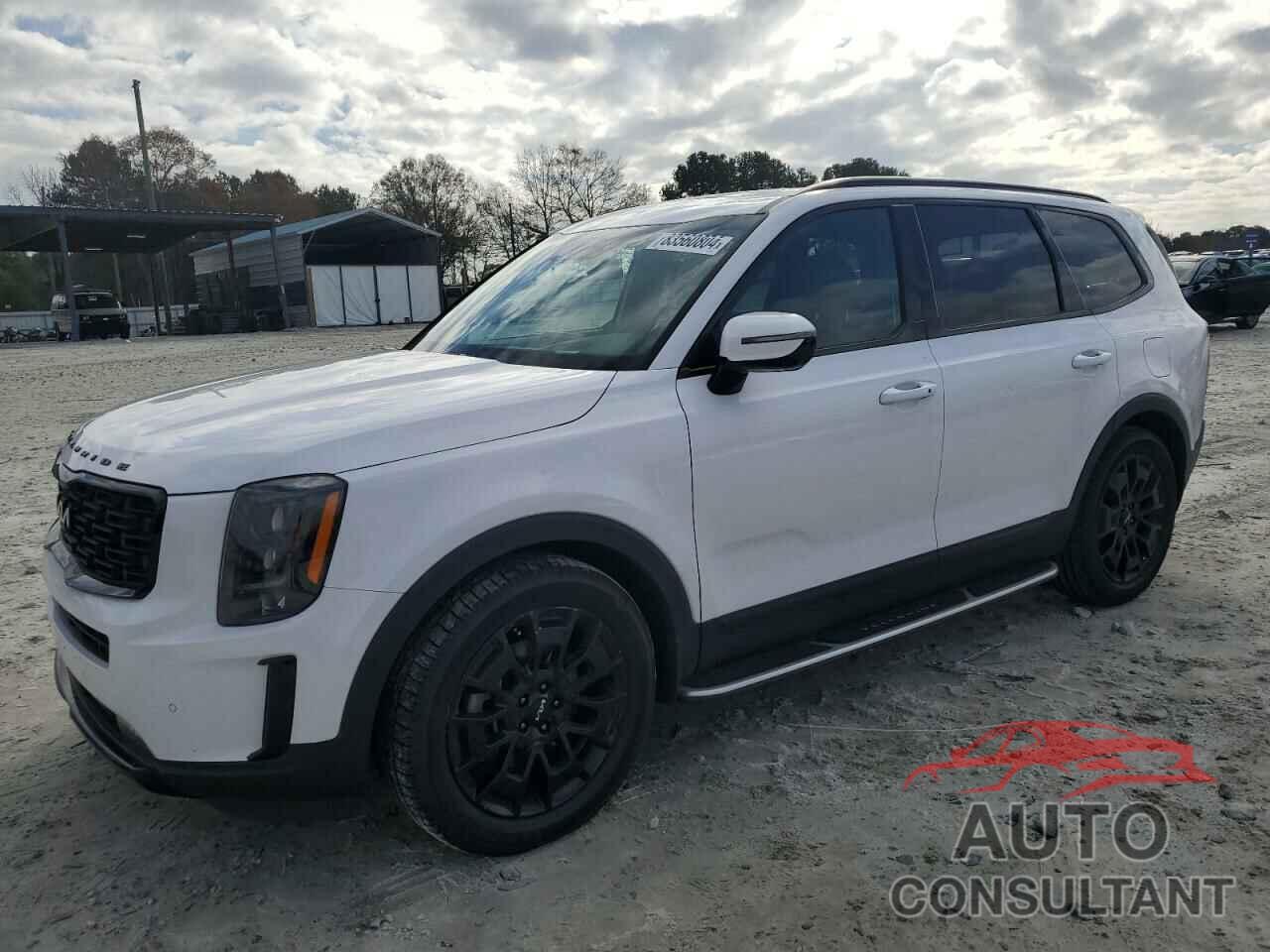 KIA TELLURIDE 2022 - 5XYP5DHC8NG218307