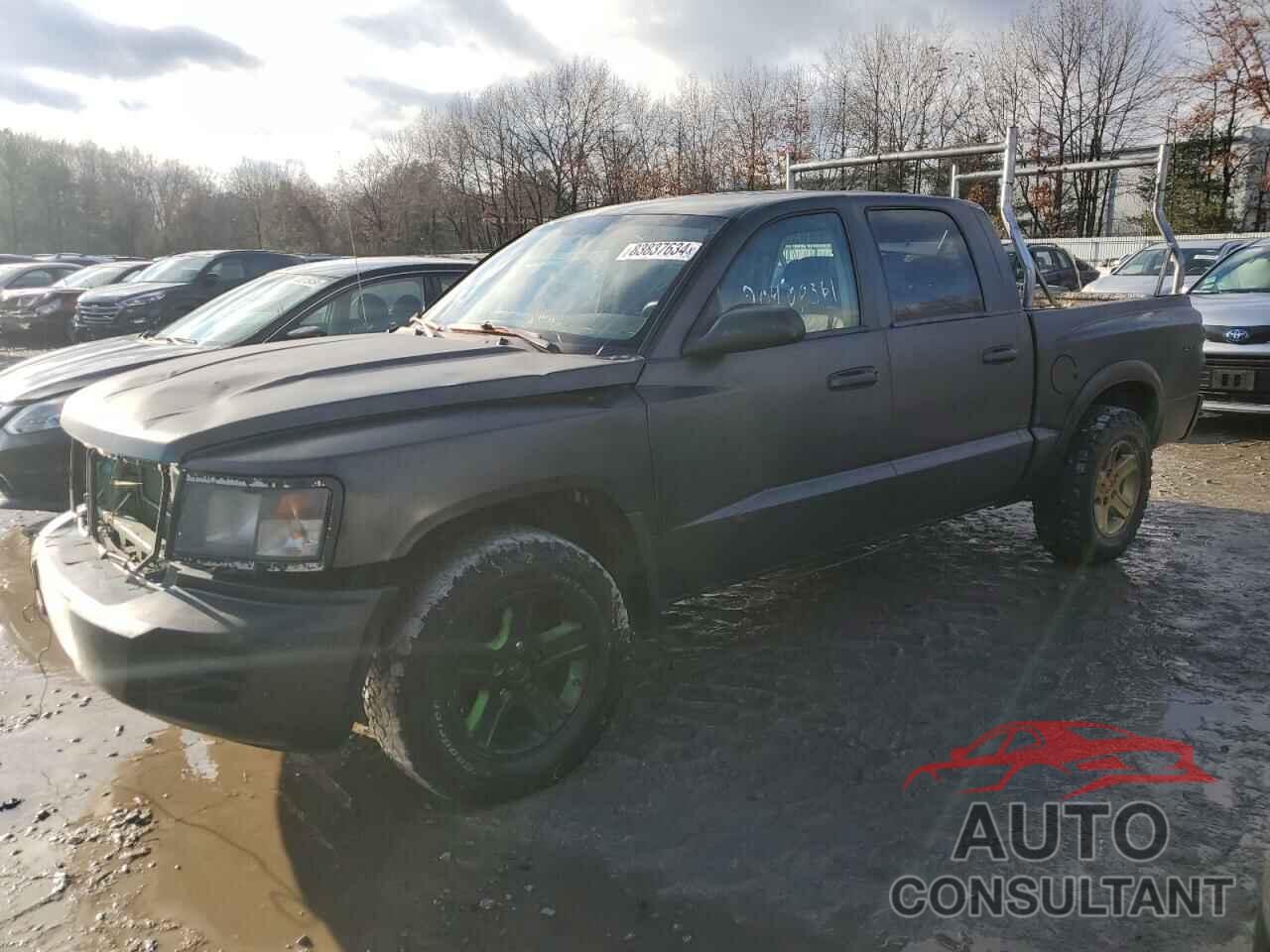 DODGE DAKOTA 2010 - 1D7CW3GK0AS200697