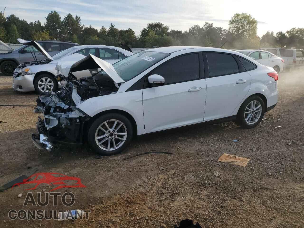 FORD FOCUS 2017 - 1FADP3F25HL281493