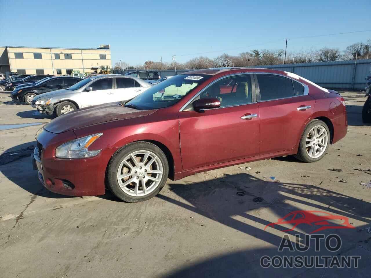 NISSAN MAXIMA 2010 - 1N4AA5AP5AC825614