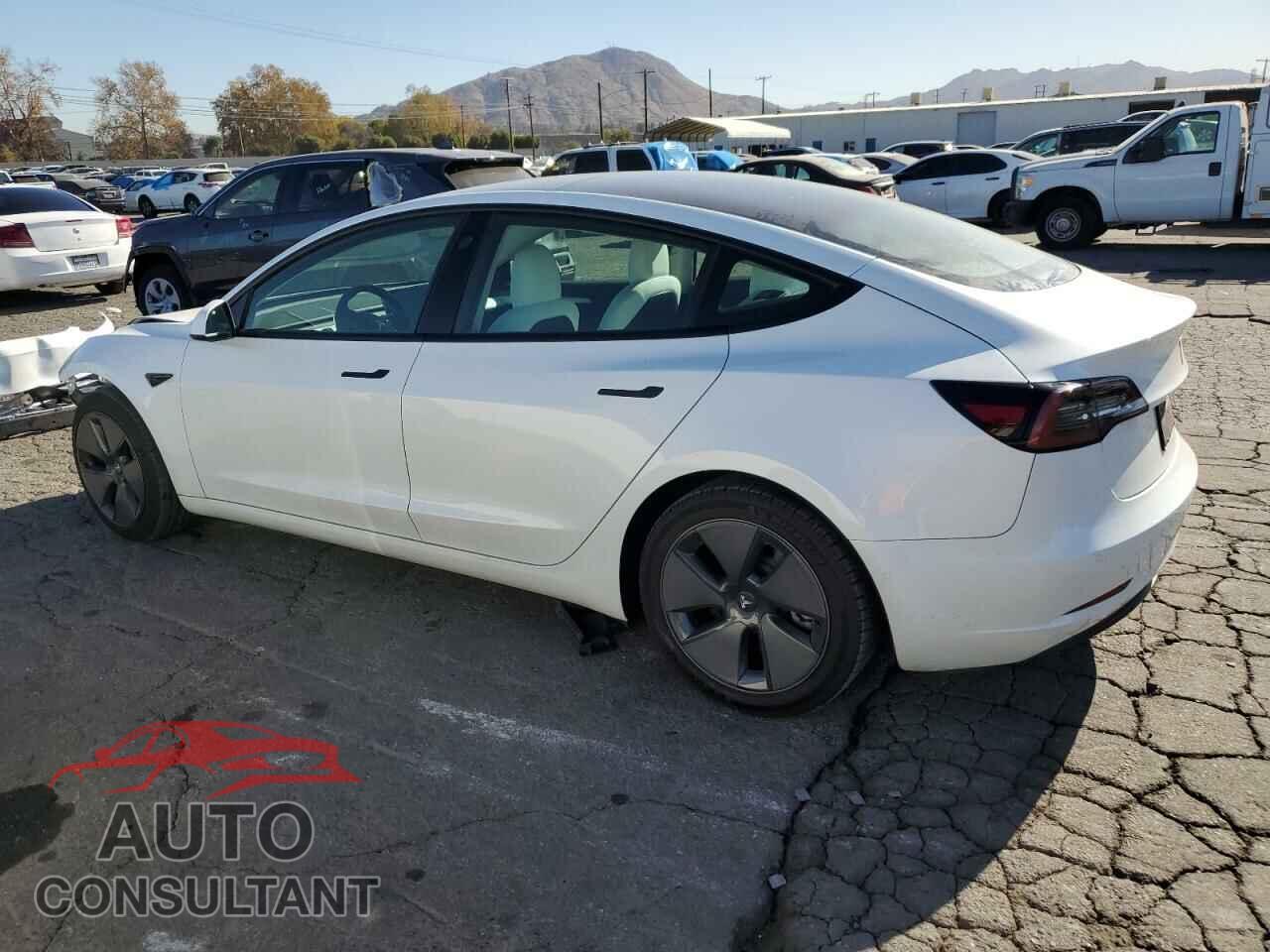 TESLA MODEL 3 2021 - 5YJ3E1EA0MF100063