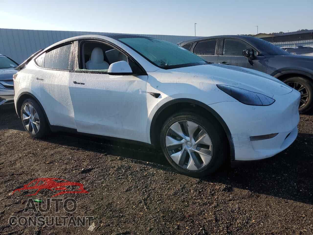 TESLA MODEL Y 2024 - 7SAYGDED6RF044698