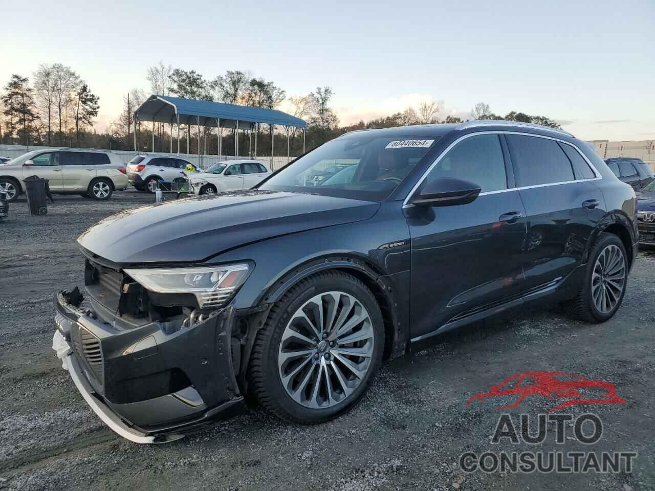 AUDI E-TRON 2019 - WA1VABGE4KB022164