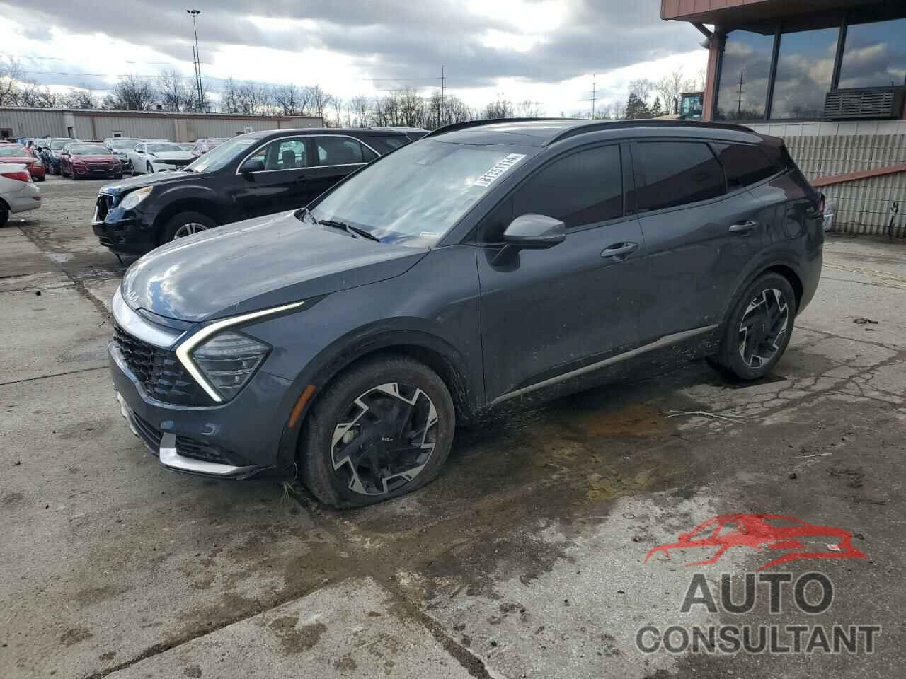 KIA SPORTAGE 2024 - 5XYK53DF5RG166404