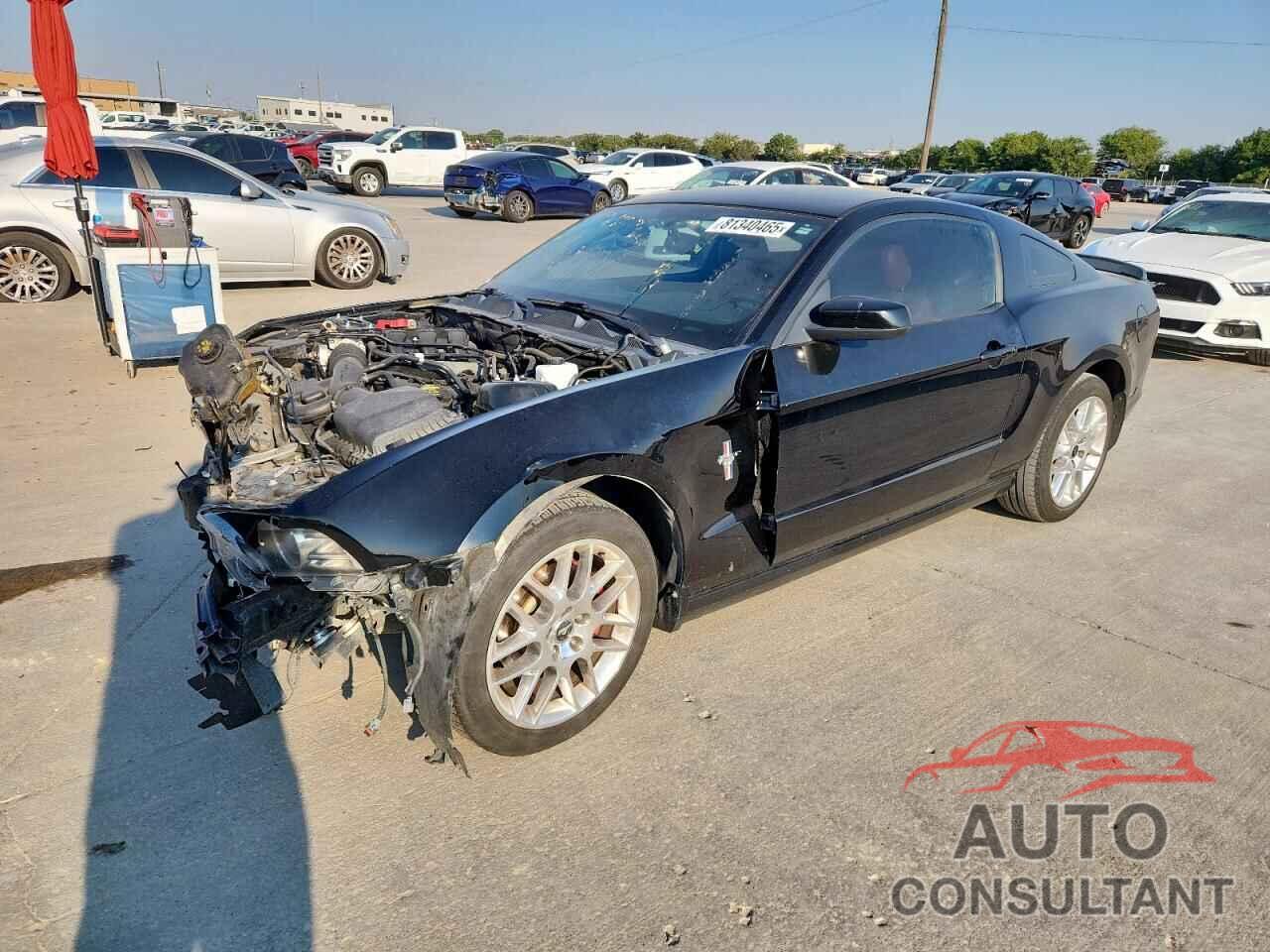 FORD ALL Models 2013 - 1ZVBP8AM5D5213441
