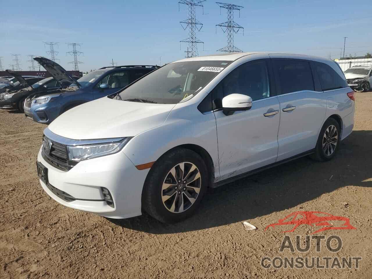 HONDA All Models 2021 - 5FNRL6H75MB007195
