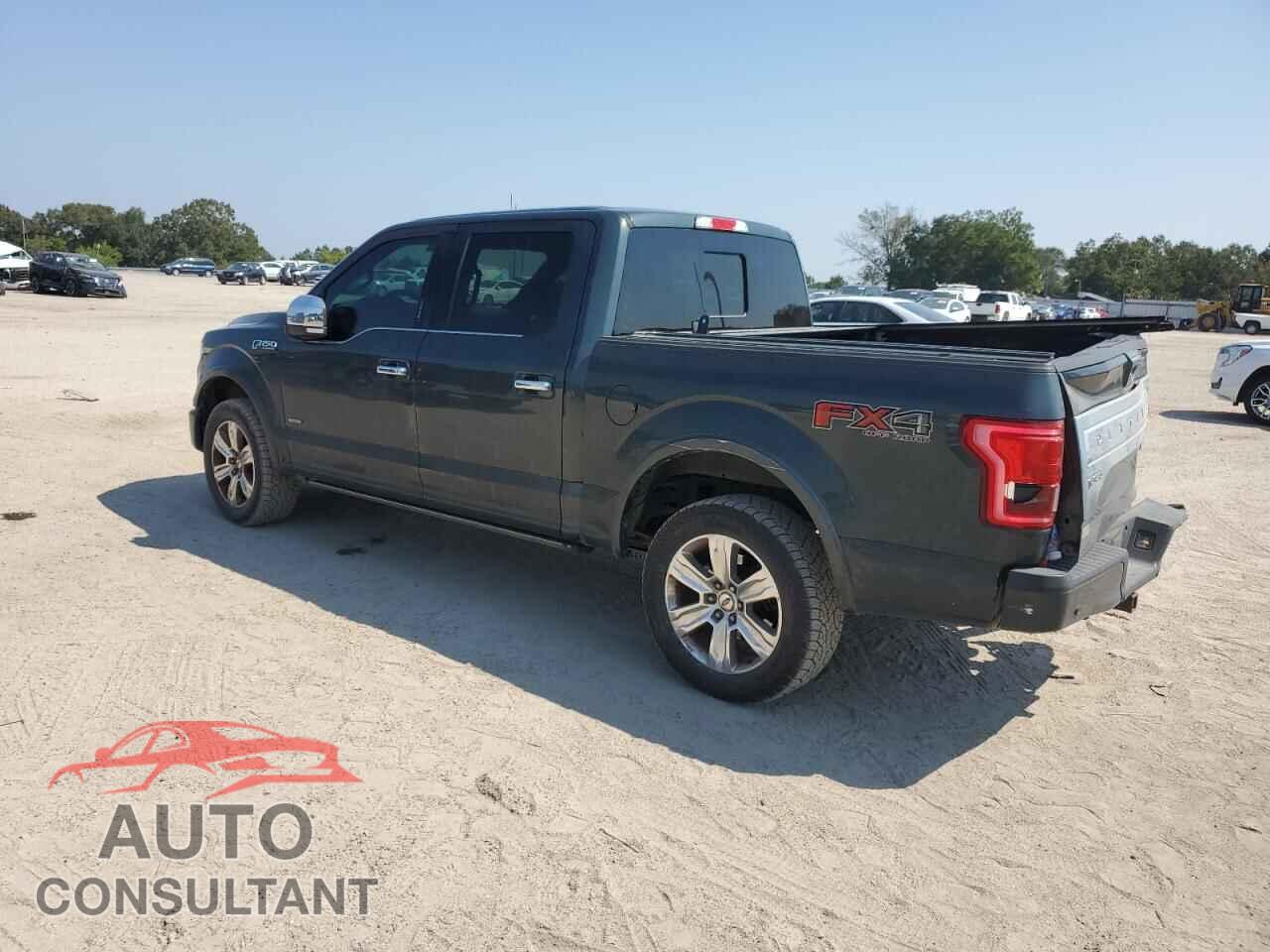 FORD F-150 2015 - 1FTEW1EG2FFB87456
