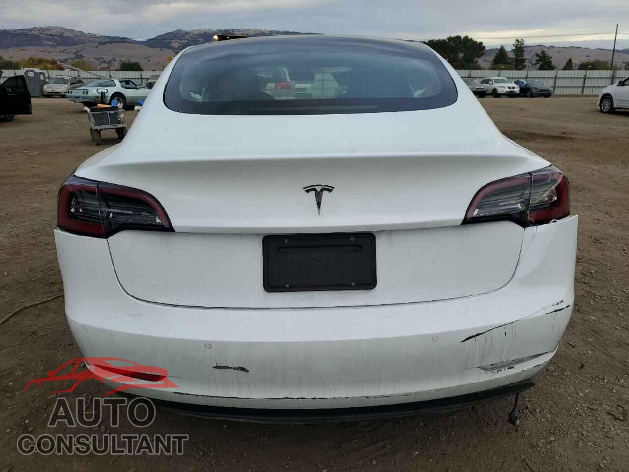 TESLA MODEL 3 2021 - 5YJ3E1EA3MF990803