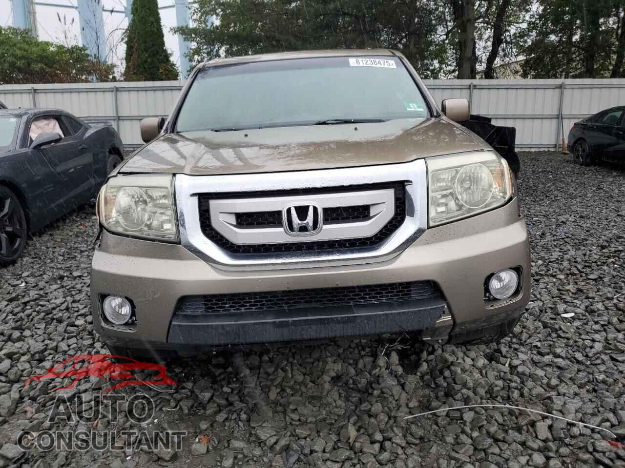 HONDA PILOT 2009 - 5FNYF48599B030699