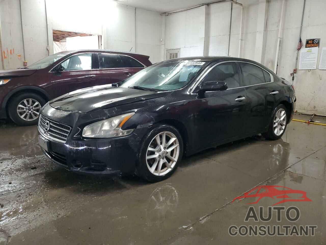NISSAN MAXIMA 2009 - 1N4AA51E99C817896