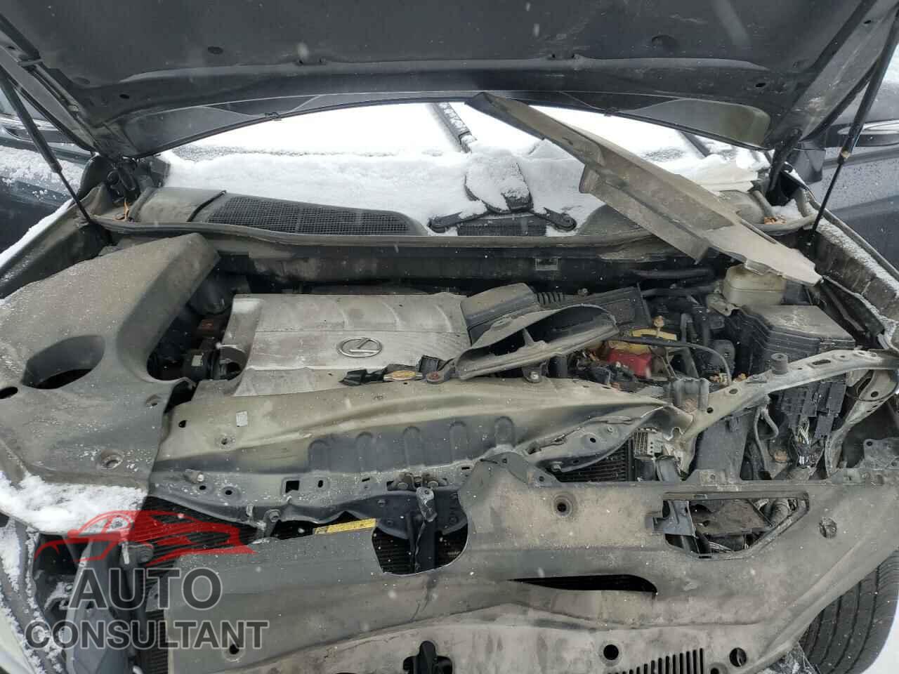 LEXUS RX350 2010 - 2T2BK1BA0AC002140