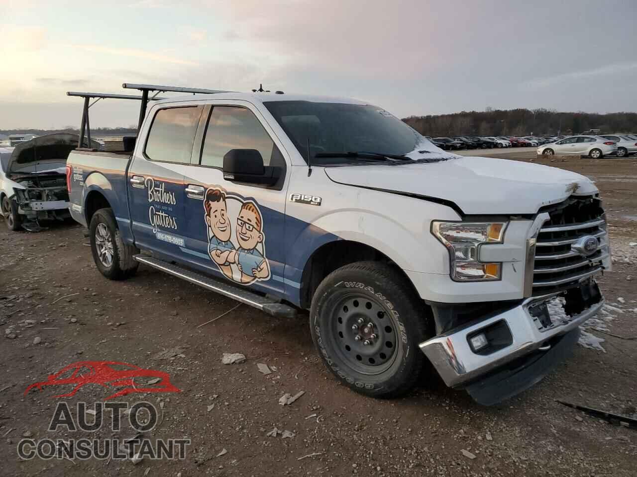 FORD F-150 2015 - 1FTEW1EF7FKE04109
