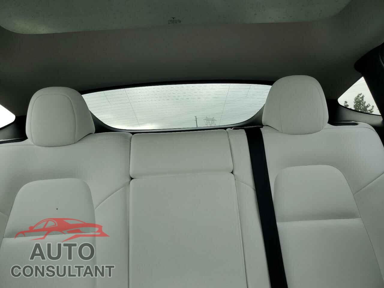 TESLA MODEL Y 2024 - 7SAYGDEF0RF020995