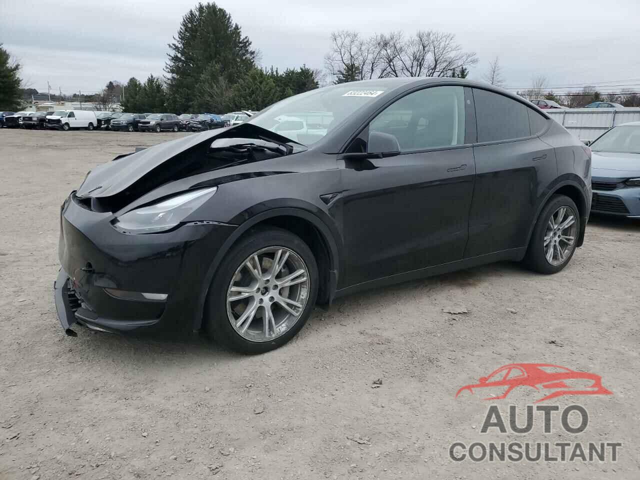 TESLA MODEL Y 2023 - 7SAYGDEE4PF836127