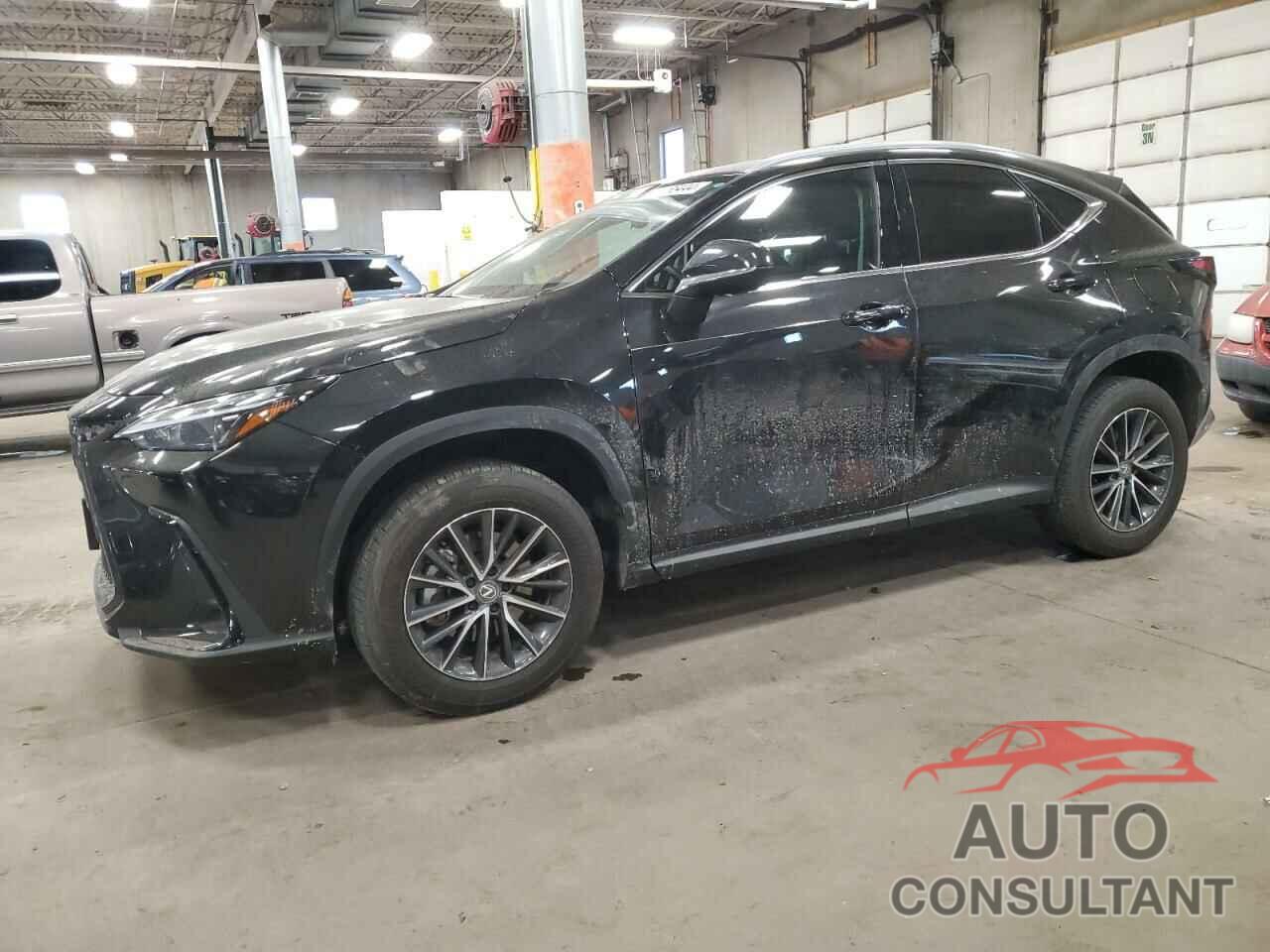 LEXUS NX 350H BA 2024 - 2T2GKCEZXRC026380