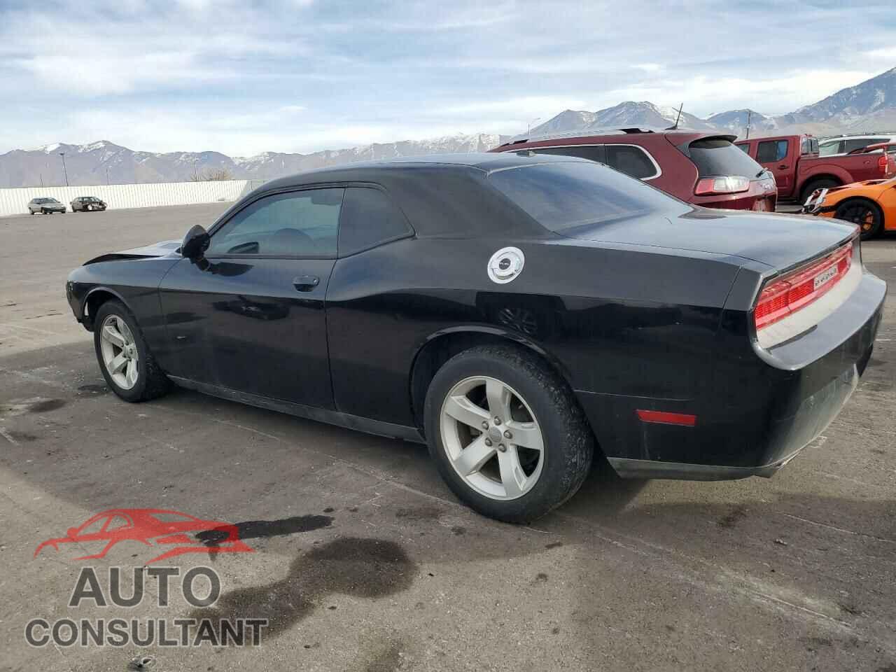 DODGE CHALLENGER 2014 - 2C3CDYAG7EH229939