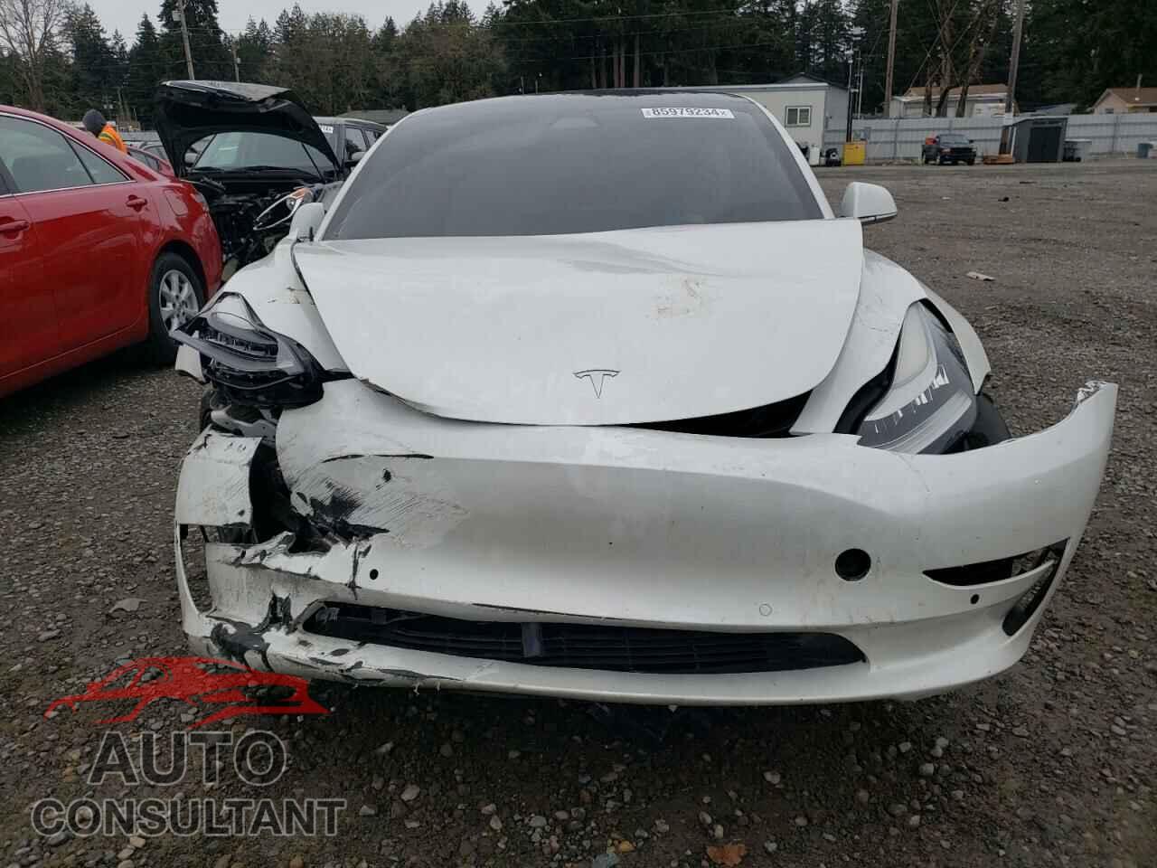 TESLA MODEL 3 2019 - 5YJ3E1EB4KF434196