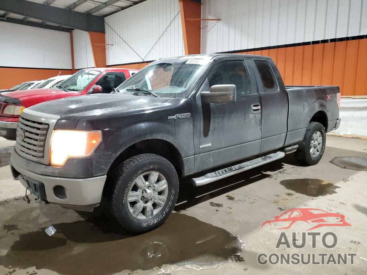 FORD F-150 2011 - 1FTFX1ET9BKD54556