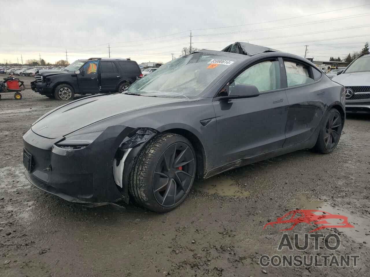 TESLA MODEL 3 2024 - 5YJ3E1ET8RF827931