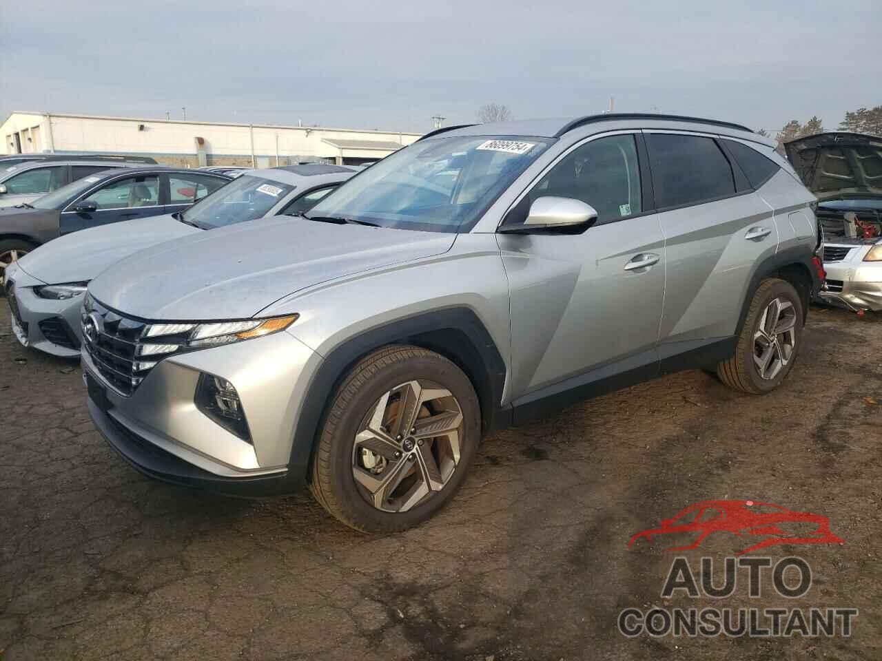 HYUNDAI TUCSON 2024 - 5NMJBCDEXRH429150