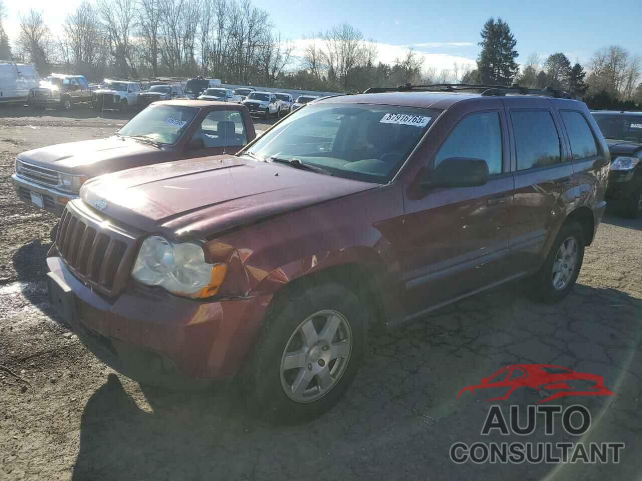 JEEP GRAND CHER 2009 - 1J8GR48K19C524604