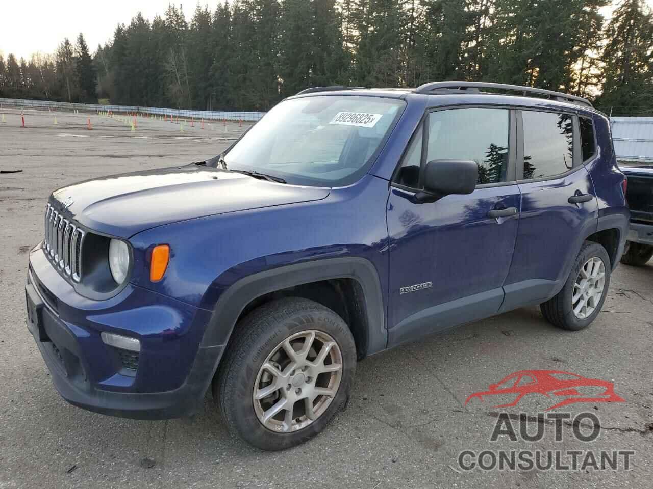 JEEP RENEGADE 2019 - ZACNJBAB0KPJ81013