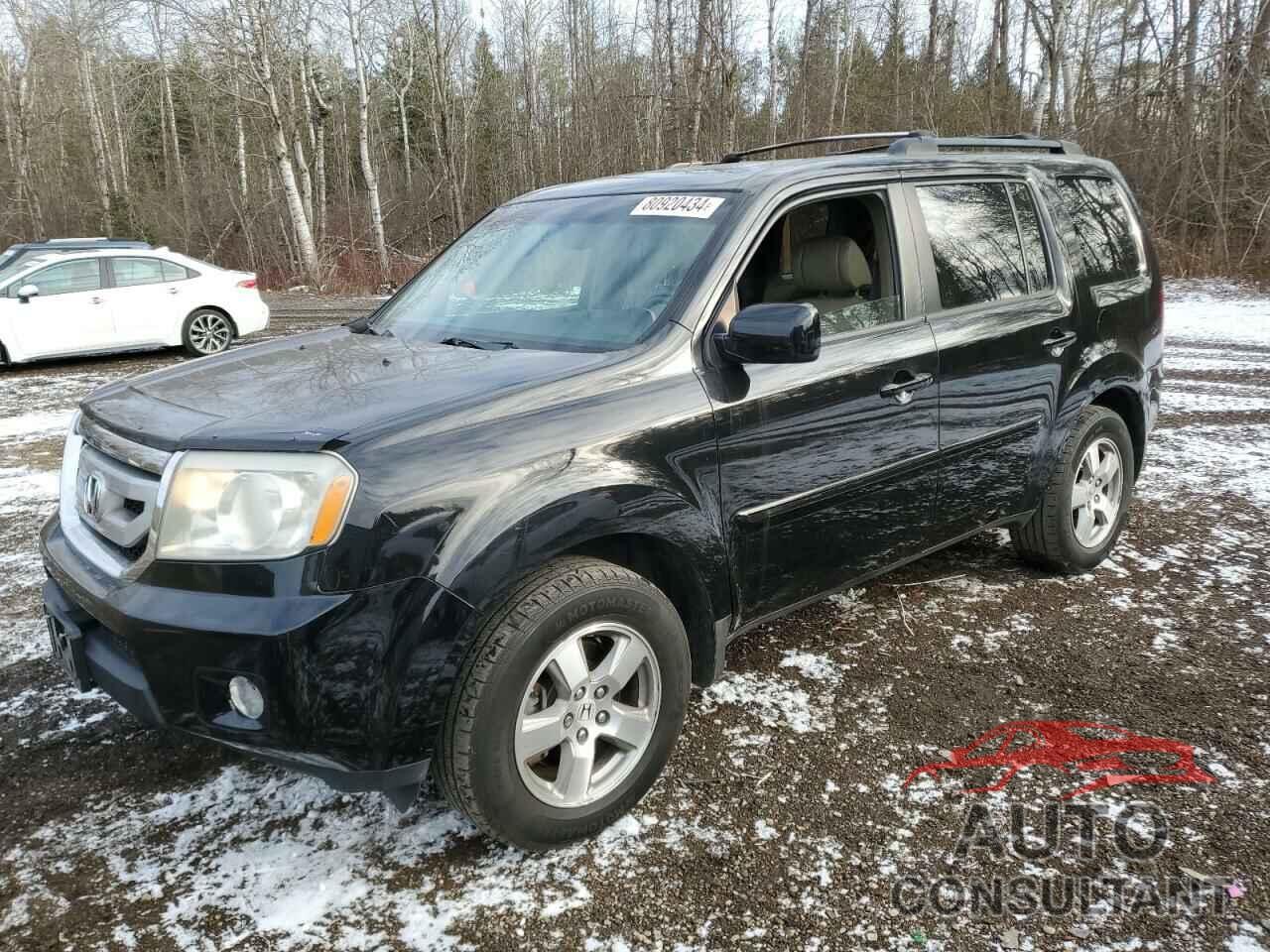 HONDA PILOT 2009 - 5FNYF48619B500460