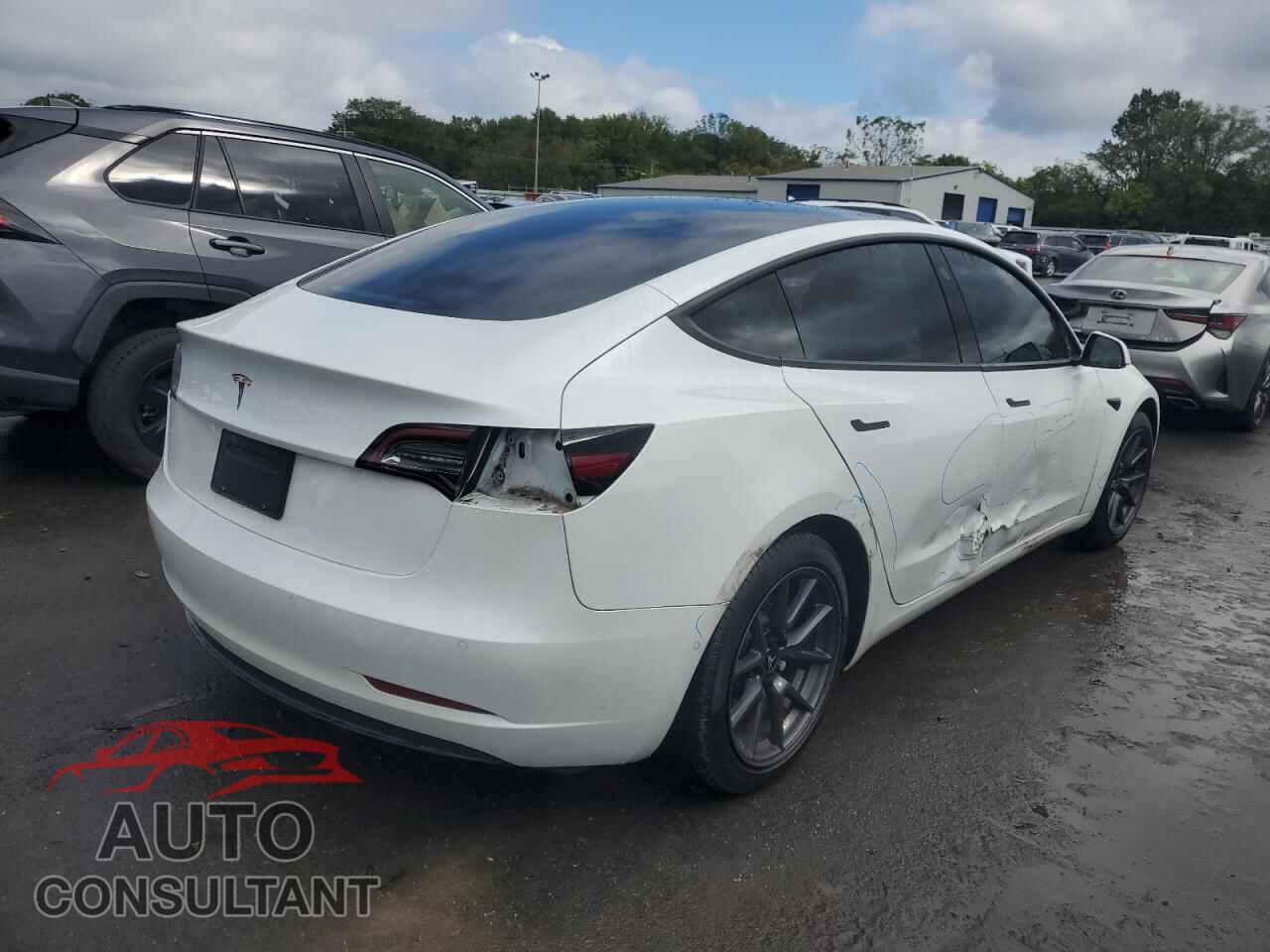 TESLA MODEL 3 2021 - 5YJ3E1EA3MF853683