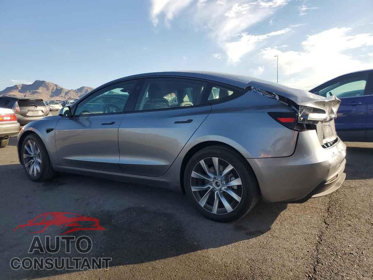 TESLA MODEL 3 2025 - 5YJ3E1EA7SF020935