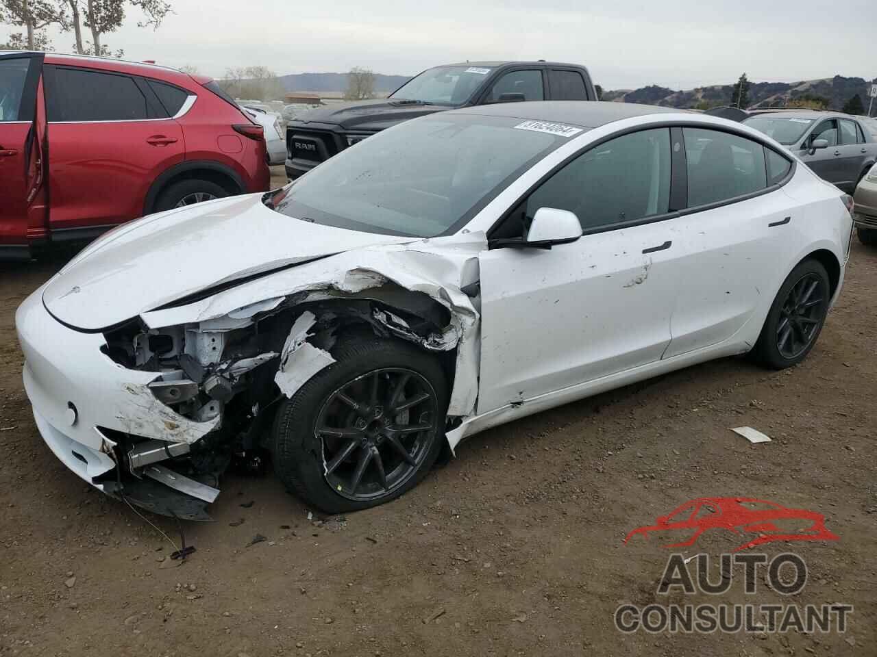 TESLA MODEL 3 2021 - 5YJ3E1EA3MF030252