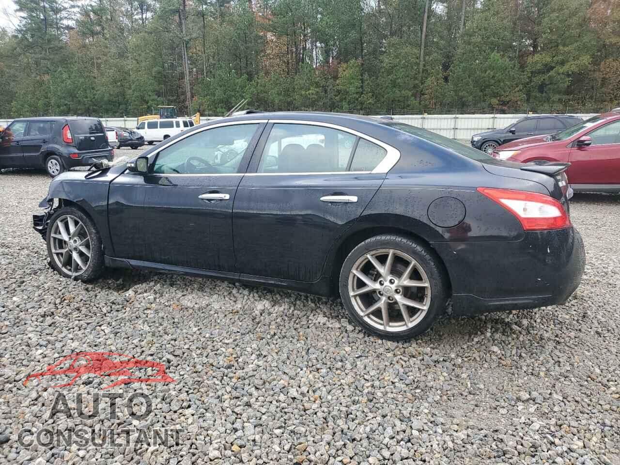 NISSAN MAXIMA 2011 - 1N4AA5AP1BC840631