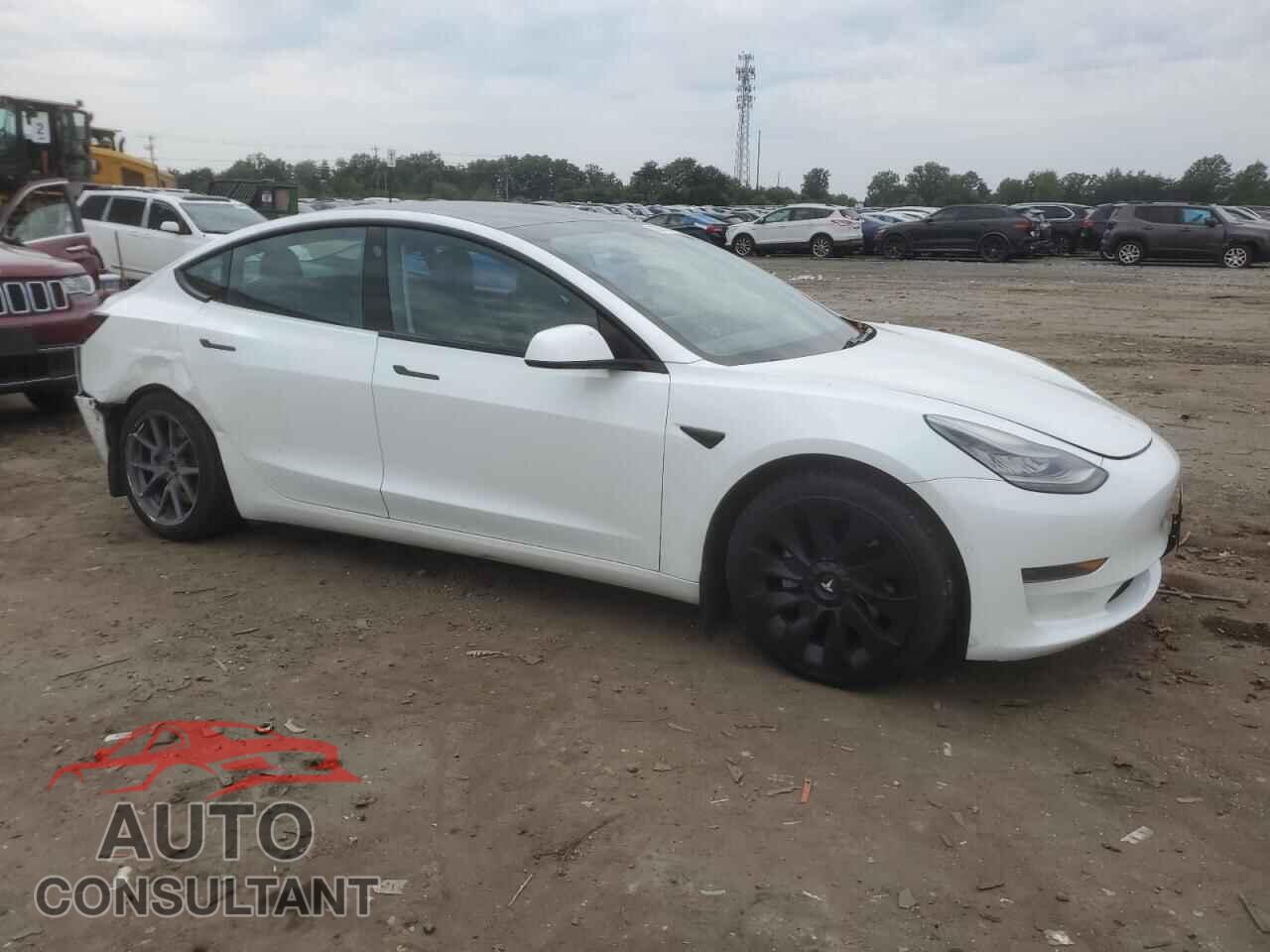 TESLA MODEL 3 2021 - 5YJ3E1EA1MF854296