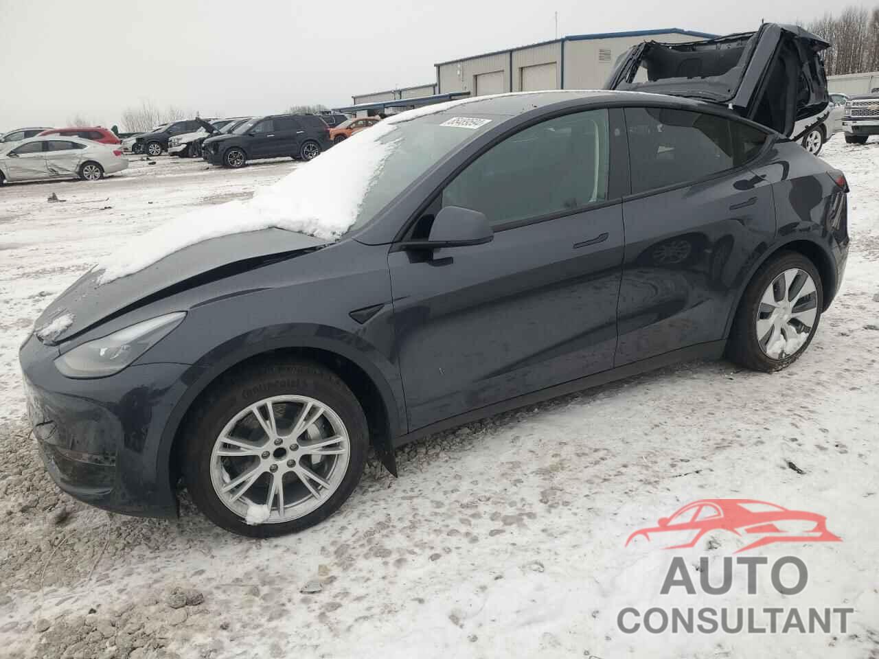TESLA MODEL Y 2024 - 7SAYGDED6RF092587