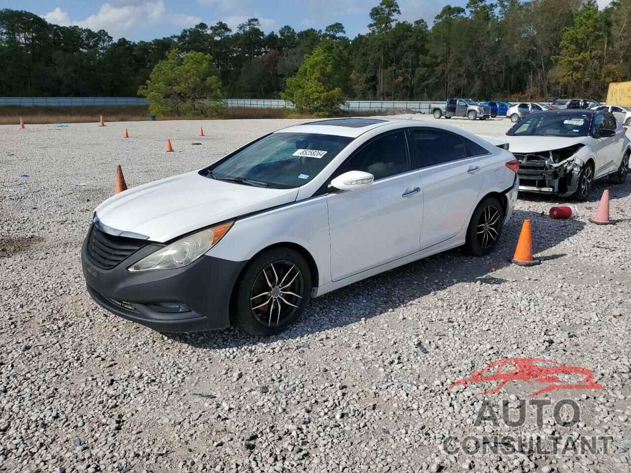 HYUNDAI SONATA 2013 - 5NPEC4AC0DH666863