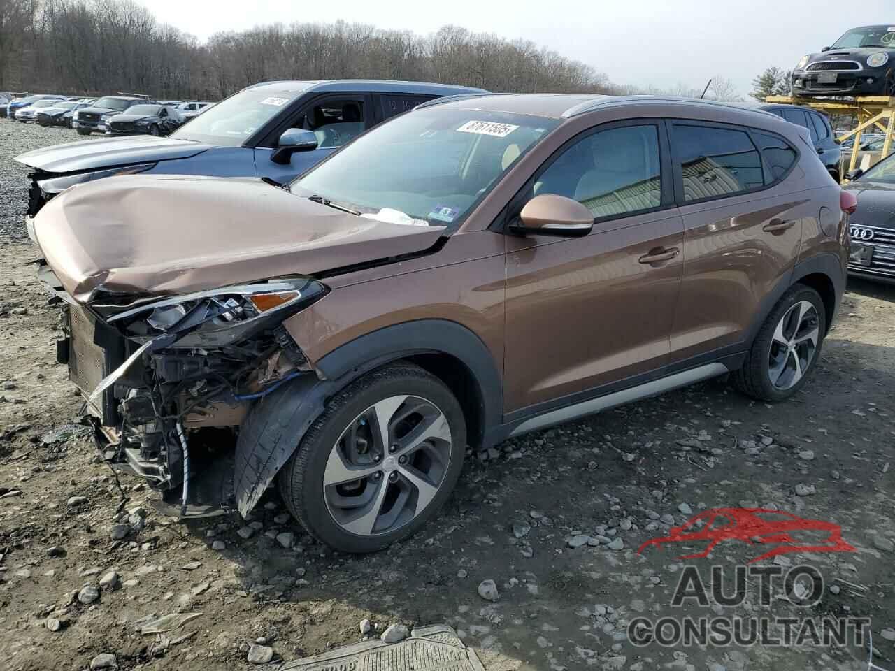 HYUNDAI TUCSON 2017 - KM8J3CA26HU377199