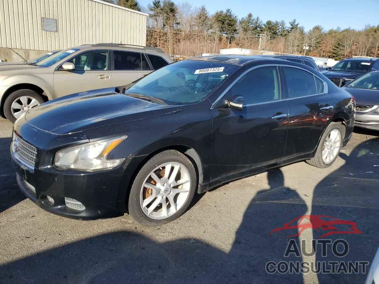 NISSAN MAXIMA 2009 - 1N4AA51E39C841756