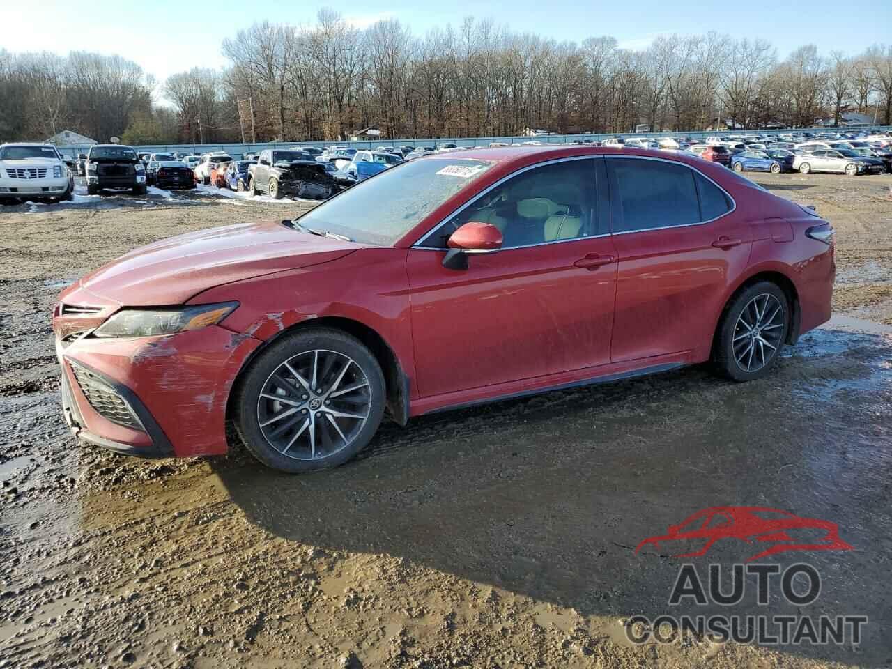 TOYOTA CAMRY 2024 - 4T1T11AK9RU230704