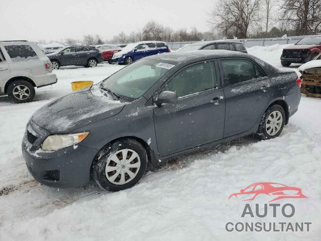 TOYOTA COROLLA 2009 - 2T1BU40EX9C128734