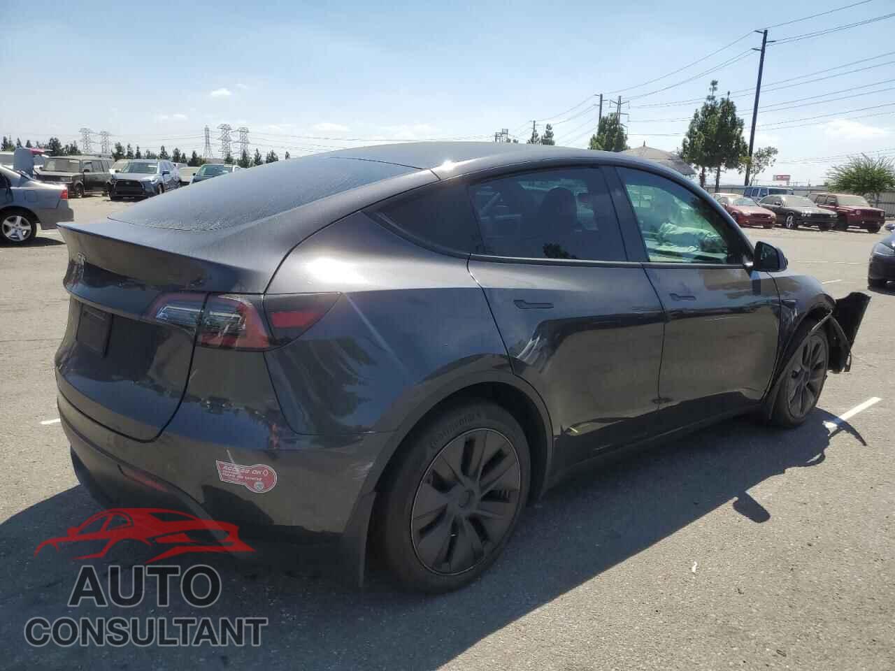 TESLA MODEL Y 2024 - 7SAYGDED1RF100241