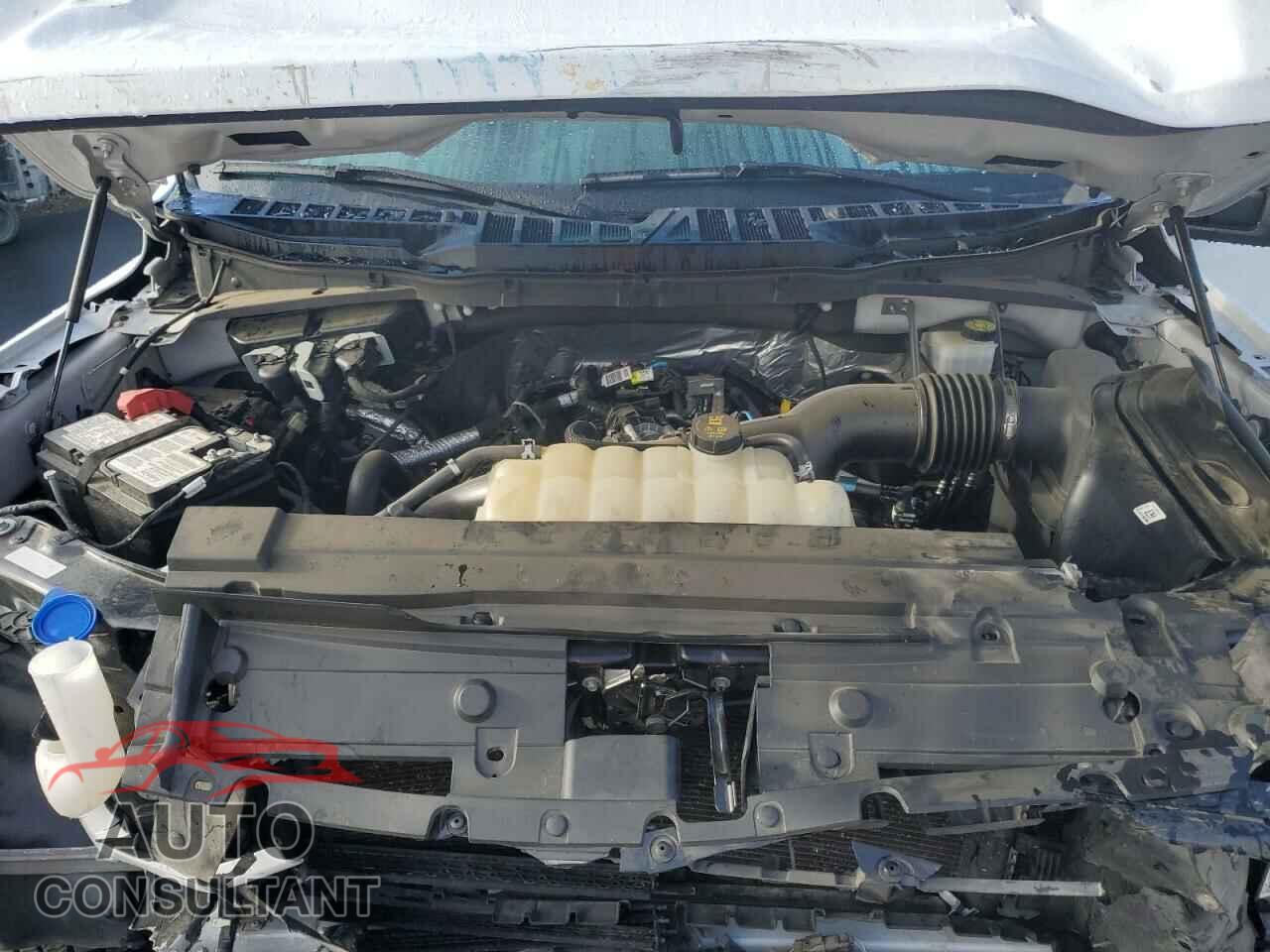 FORD F-150 2021 - 1FTEW1EP5MFB79249