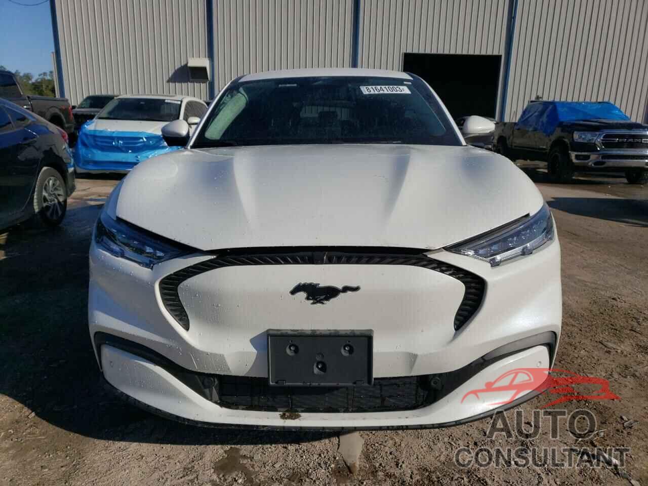 FORD MUSTANG 2021 - 3FMTK1RM3MMA49145