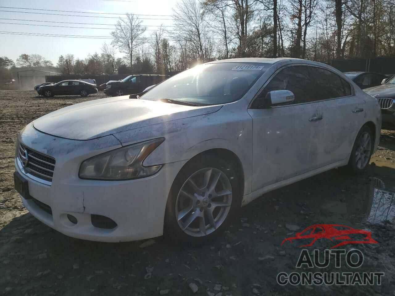 NISSAN MAXIMA 2010 - 1N4AA5AP1AC855922