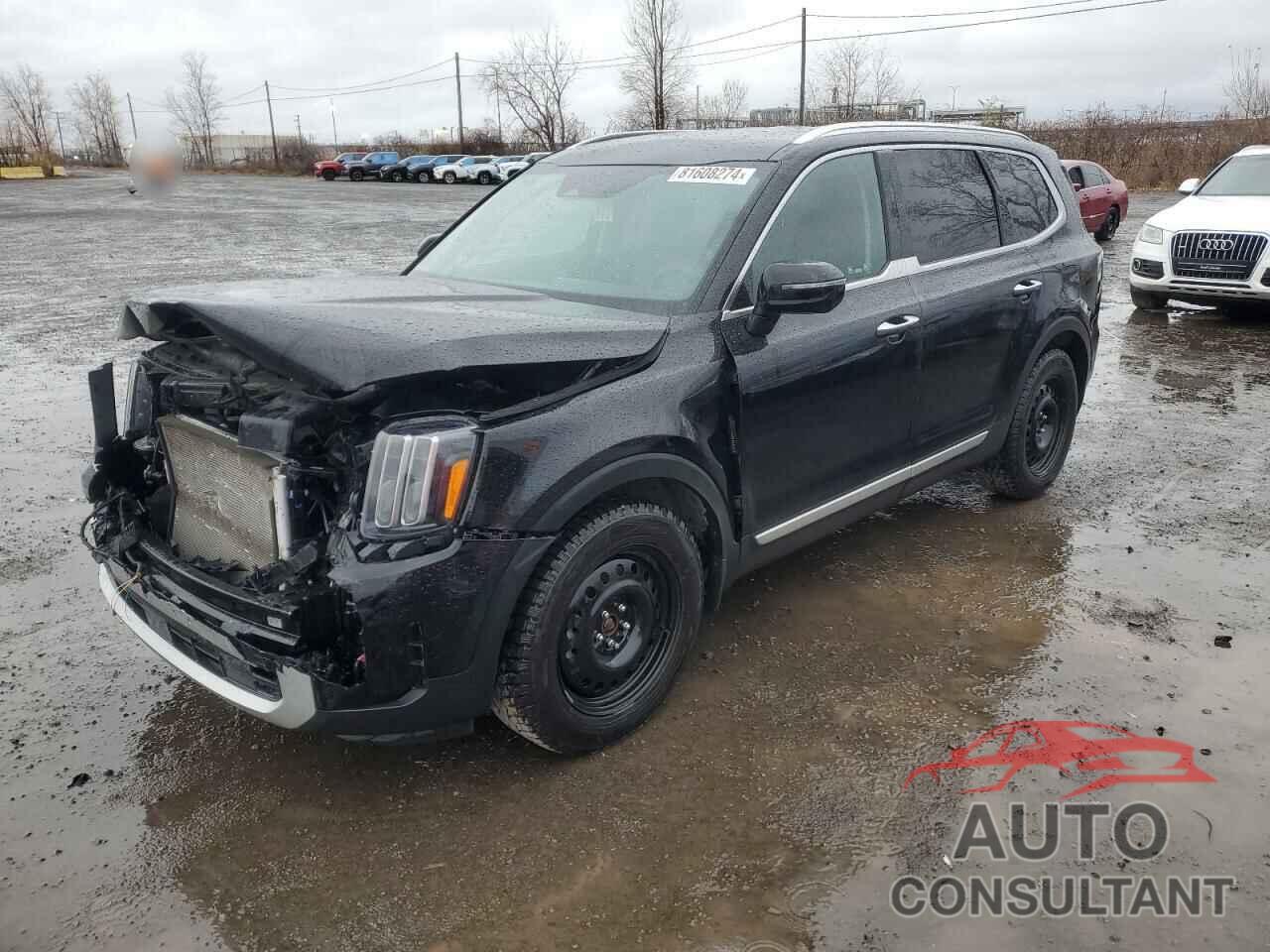 KIA TELLURIDE 2024 - 5XYP5DGC5RG482978