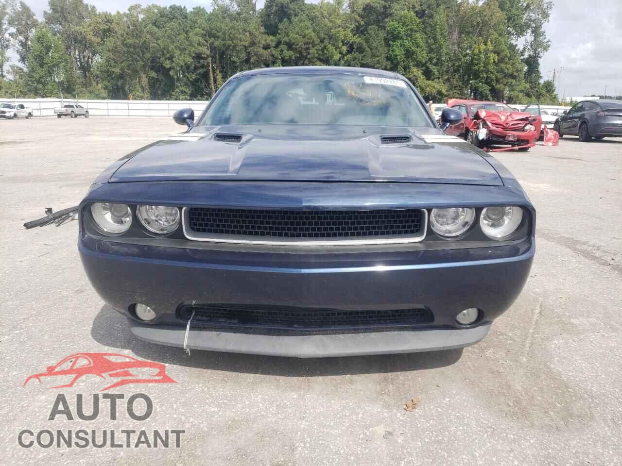 DODGE CHALLENGER 2013 - 2C3CDYBT8DH663376
