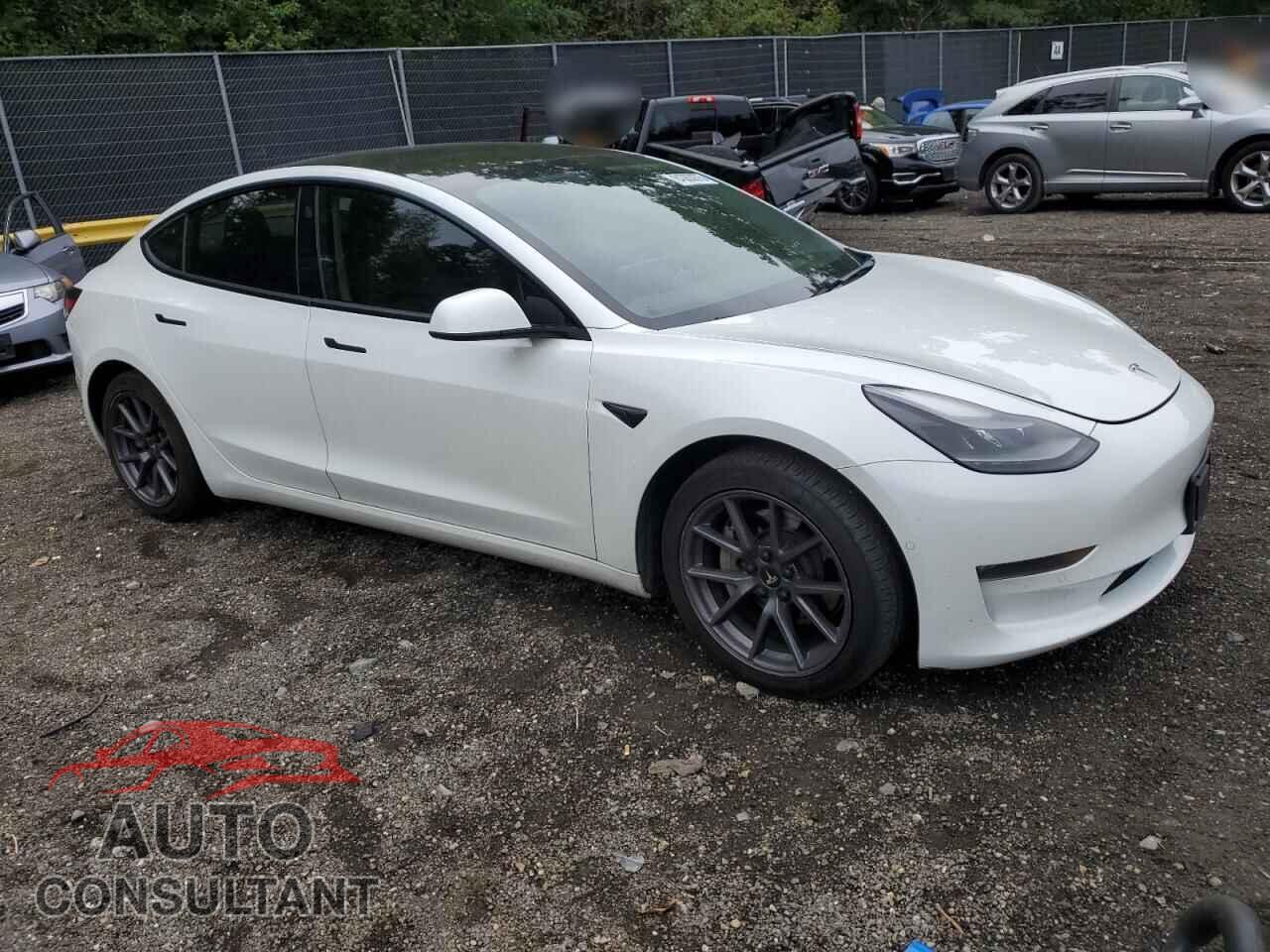 TESLA MODEL 3 2021 - 5YJ3E1EB8MF924109