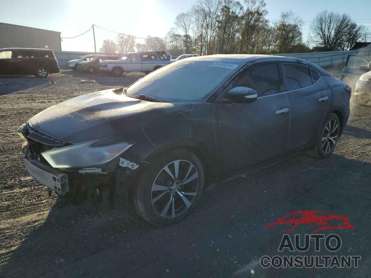 NISSAN MAXIMA 2017 - 1N4AA6AP7HC384262