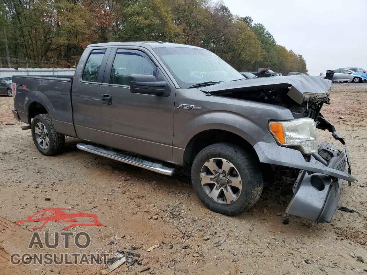 FORD F-150 2013 - 1FTFX1CF8DFD75455
